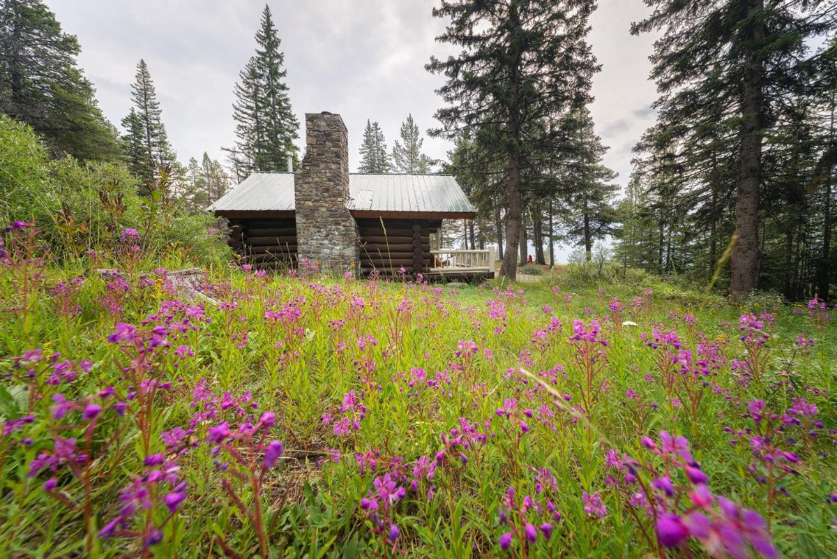 Storm Mountain Lodge & Cabins Castle Junction Εξωτερικό φωτογραφία